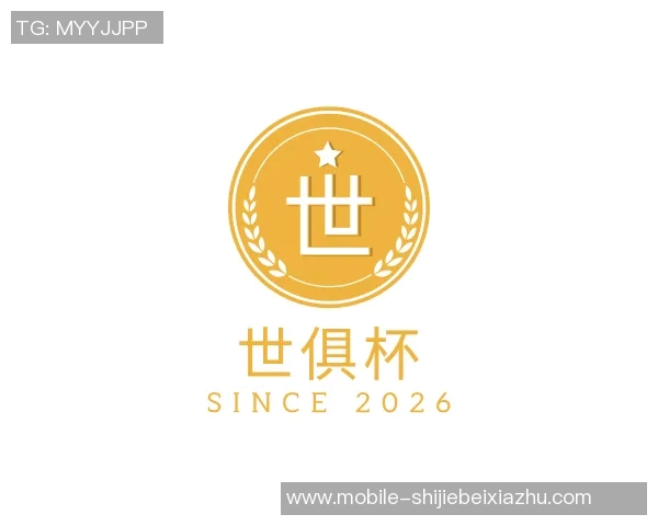 世俱杯买球代怀博的崛起与挑战：探索新时代下的商业模式与社会影响